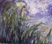 Claude Monet Yellow Irises USA oil painting artist